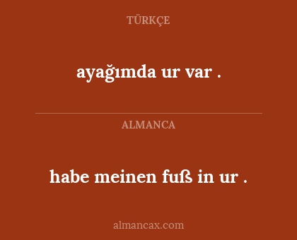 habe meinen fuß in ur . - ayağımda ur var .