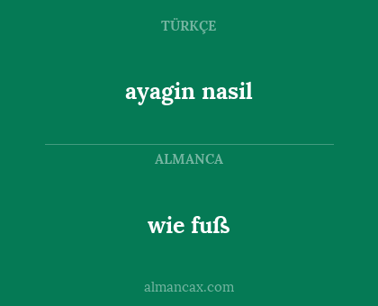 wie fuß - ayagin nasil