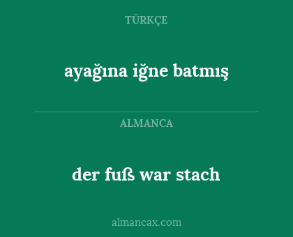 ayağına iğne batmış - der fuß war stach