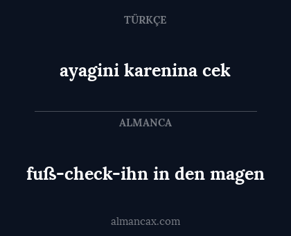 ayagini karenina cek - fuß-check-ihn in den magen