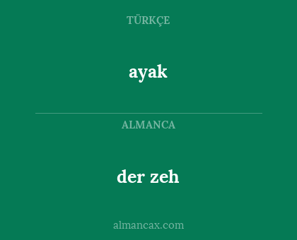 ayak - der zeh