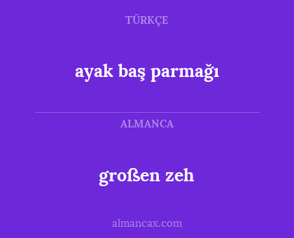 ayak baş parmağı - großen zeh