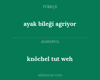ayak bileği agriyor - knöchel tut weh