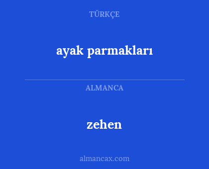 zehen - ayak parmakları