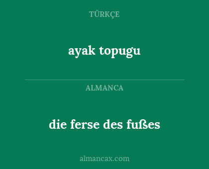 ayak topugu - die ferse des fußes