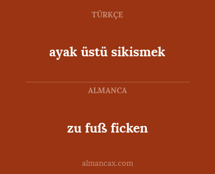 zu fuß ficken - ayak üstü sikismek