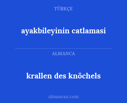 ayakbileyinin catlamasi - krallen des knöchels