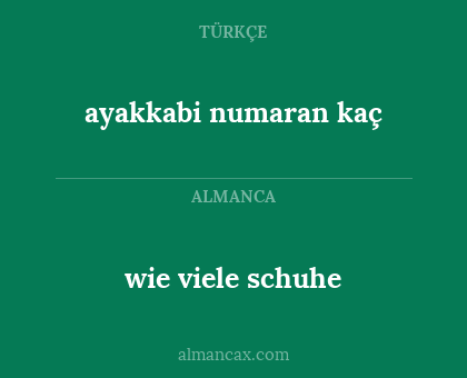 wie viele schuhe - ayakkabi numaran kaç