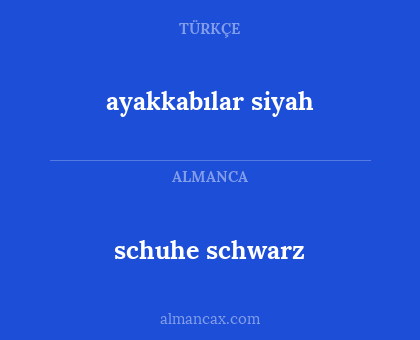 schuhe schwarz - ayakkabılar siyah