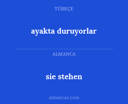 sie stehen - ayakta duruyorlar