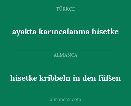 hisetke kribbeln in den füßen - ayakta karıncalanma hisetke