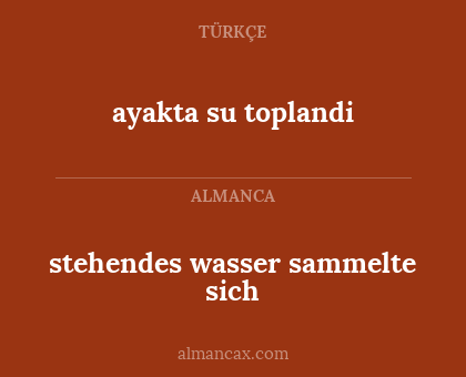 stehendes wasser sammelte sich - ayakta su toplandi