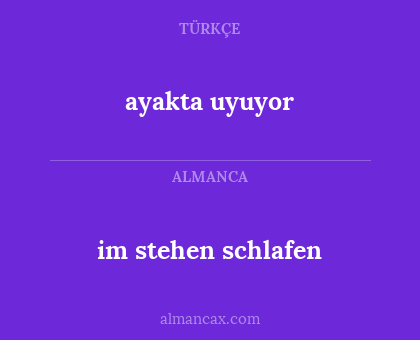 ayakta uyuyor - im stehen schlafen