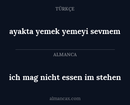 ich mag nicht essen im stehen - ayakta yemek yemeyi sevmem