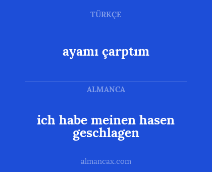 ayamı çarptım - ich habe meinen hasen geschlagen