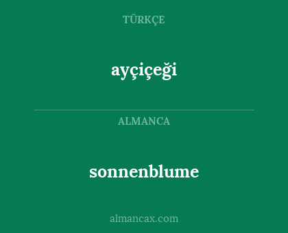 ayçiçeği - sonnenblume