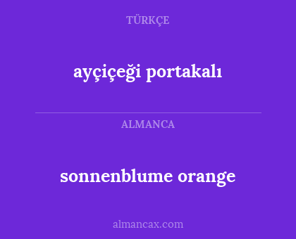sonnenblume orange - ayçiçeği portakalı