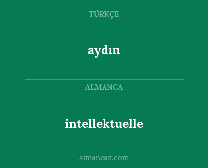 intellektuelle - aydın