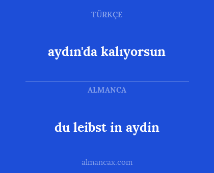 aydın'da kalıyorsun - du leibst in aydin