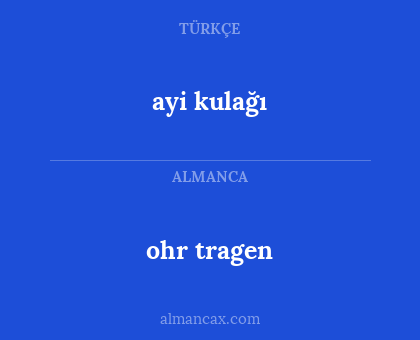 ohr tragen - ayi kulağı