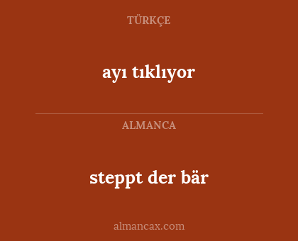 steppt der bär - ayı tıklıyor
