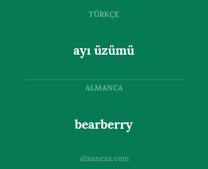 bearberry - ayı üzümü