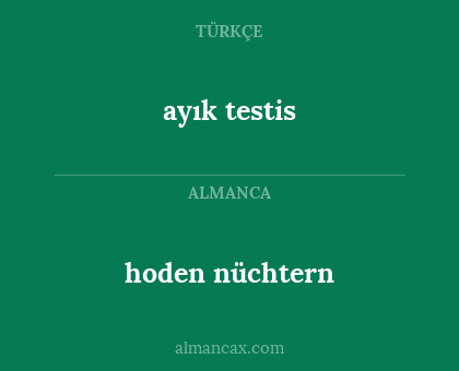 hoden nüchtern - ayık testis