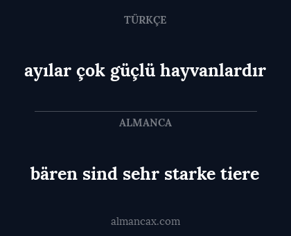 ayılar çok güçlü hayvanlardır - bären sind sehr starke tiere