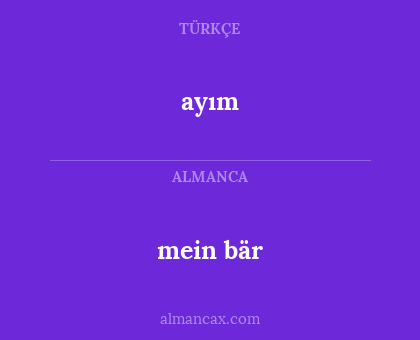 mein bär - ayım
