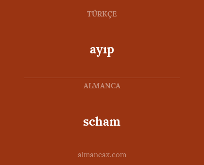 ayıp - scham