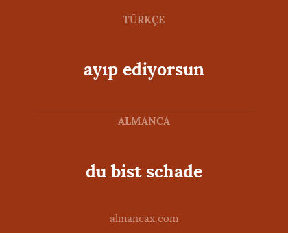 du bist schade - ayıp ediyorsun