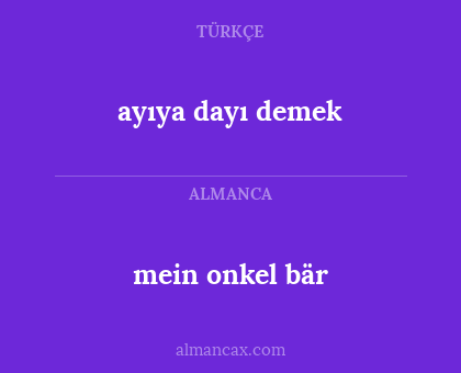 mein onkel bär - ayıya dayı demek