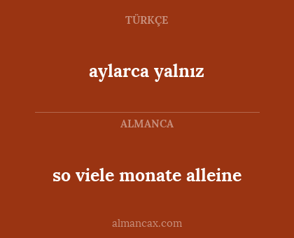 aylarca yalnız - so viele monate alleine