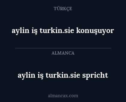 aylin iş turkin.sie spricht - aylin iş turkin.sie konuşuyor