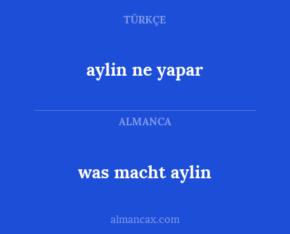 aylin ne yapar - was macht aylin