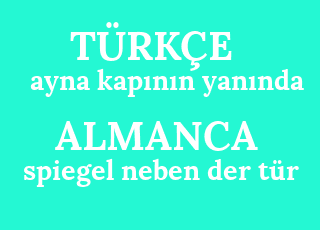 ayna+kap%C4%B1n%C4%B1n+yan%C4%B1nda-spiegel+neben+der+t%C3%BCr.png