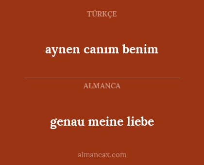aynen canım benim - genau meine liebe