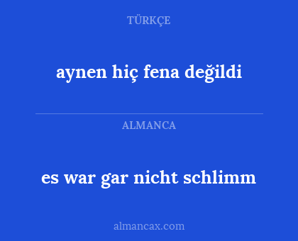 es war gar nicht schlimm - aynen hiç fena değildi