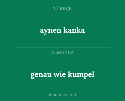 aynen kanka - genau wie kumpel