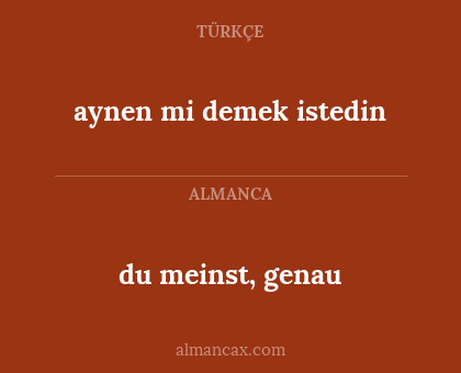 du meinst, genau - aynen mi demek istedin