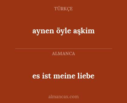 es ist meine liebe - aynen öyle aşkim