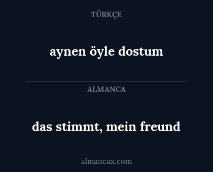 aynen öyle dostum - das stimmt, mein freund