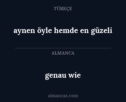 genau wie - aynen öyle hemde en güzeli