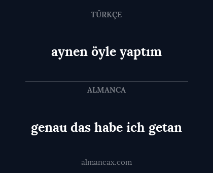 aynen öyle yaptım - genau das habe ich getan