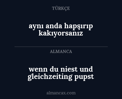 wenn du niest und gleichzeiting pupst - aynı anda hapşırıp kakıyorsanız
