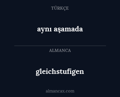 aynı aşamada - gleichstufigen