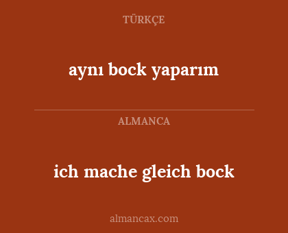 aynı bock yaparım - ich mache gleich bock