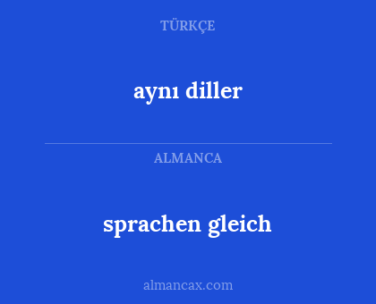 sprachen gleich - aynı diller