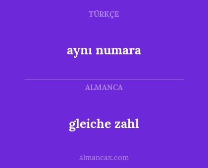 aynı numara - gleiche zahl
