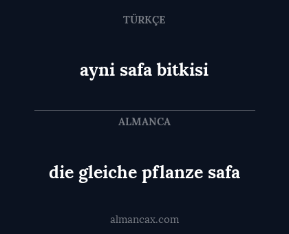 ayni safa bitkisi - die gleiche pflanze safa